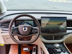 Denza D9 EV 600 AWD Luxury - photo 15