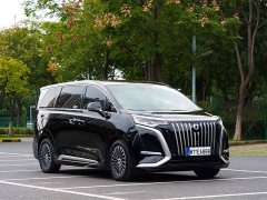 Denza D9 EV 600 AWD Luxury - photo 7