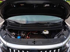 Denza D9 EV 600 AWD Luxury - photo 8