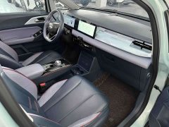 Geely Geometry E Firefly 401KM Thunder Tiger 4-Seater - photo 16