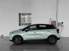 Geely Geometry E Firefly 401KM Thunder Tiger 4-Seater - photo 2