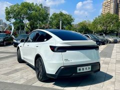 Tesla Model Y Rear-Wheel Drive - photo 6