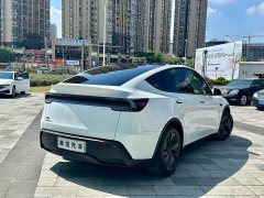 Tesla Model Y Rear-Wheel Drive - photo 7