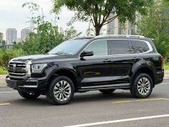 Tank 500 New Energy Hi4-T - photo 1