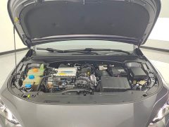 Trumpchi Leopard 270T DCT J15 - ფოტო 10