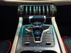 BYD Yuan Plus Champion Edition 430KM Exceed - ფოტო 13