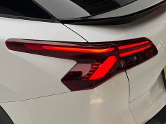 Dongfeng Versailles C5 X 1.6T Unstoppable Tiger Year Special Edition - ფოტო 18