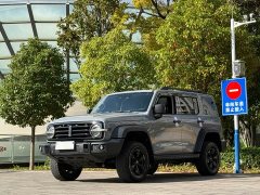 Tank 300 Off-Road Edition 2.0T Conqueror - ფოტო 1