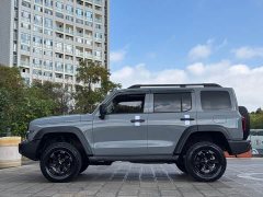 Tank 300 Off-Road Edition 2.0T Conqueror - ფოტო 10