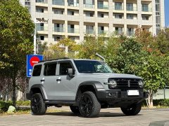 Tank 300 Off-Road Edition 2.0T Conqueror - ფოტო 3