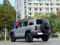 Tank 300 Off-Road Edition 2.0T Conqueror - ფოტო 9