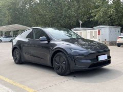 Tesla Model Y Rear-Wheel Drive - photo 3