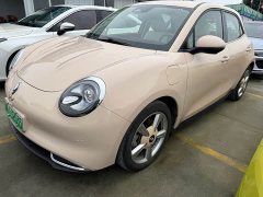 ORA Good Cat Morandi Edition 400km Standard Range Luxury Trim LFP - photo 1