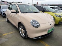 ORA Good Cat Morandi Edition 400km Standard Range Luxury Trim LFP - photo 2