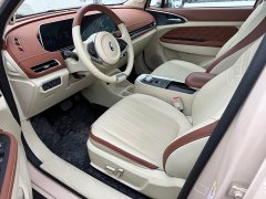 ORA Good Cat Morandi Edition 400km Standard Range Luxury Trim LFP - photo 4