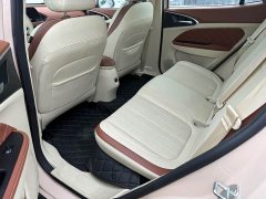 ORA Good Cat Morandi Edition 400km Standard Range Luxury Trim LFP - photo 5