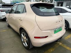 ORA Good Cat Morandi Edition 400km Standard Range Luxury Trim LFP - photo 7