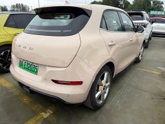 ORA Good Cat Morandi Edition 400km Standard Range Luxury Trim LFP - photo 8