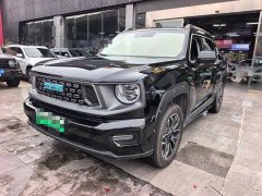 Haval Big Dog PLUS New Energy Hi4 102km Trendy Electric Edition Plus - photo 1