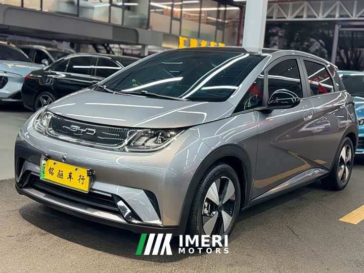 BYD Dolphin 420km Fashion Edition - ავტომობილი ჩინეთიდან