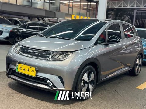 2023 BYD Dolphin 420km Fashion Edition - ავტომობილი ჩინეთიდან