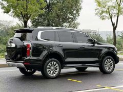 Tank 500 New Energy Hi4-T Black Warrior Edition - фото 17