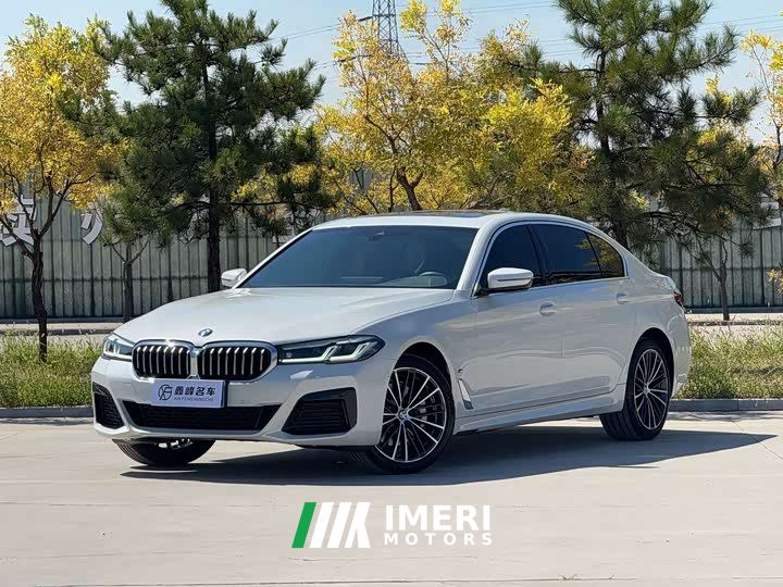 BMW 5 Series 530Li Premier M Sport Package