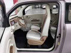 FAW Besturn Xiaoma 222km Colorful Edition - photo 10