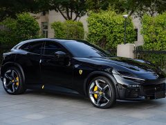 Ferrari Purosangue 6.5L V12 - ფოტო 3