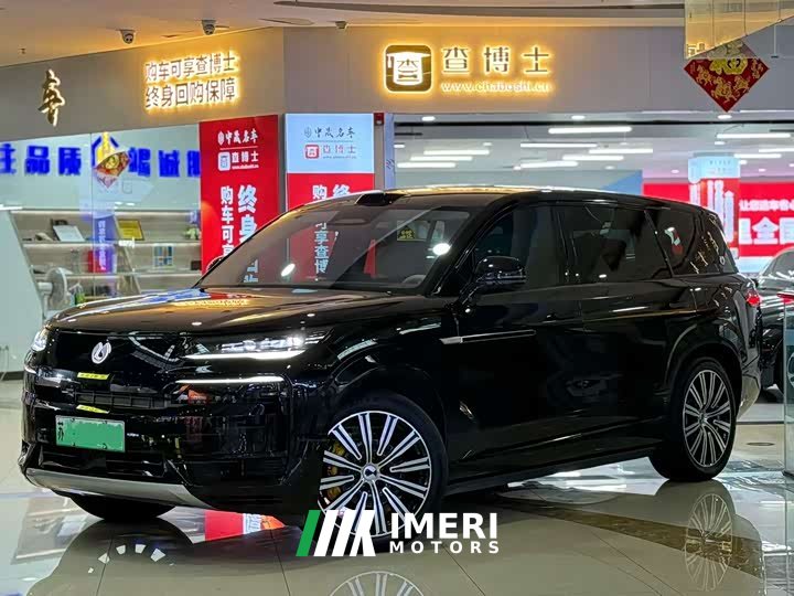 Denza N9 Honor Type