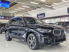 BMW X5 xDrive 40Li M Sport Package - photo 3