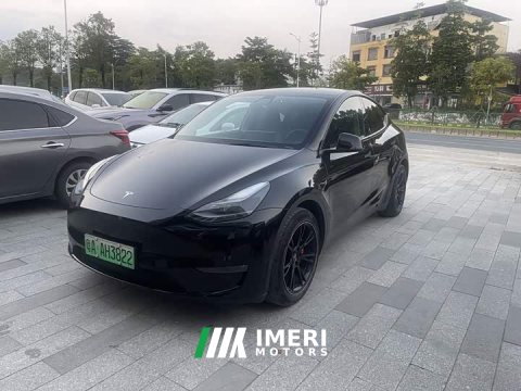 2021 Tesla Model Y Standard Range RWD - ავტომობილი ჩინეთიდან