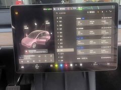 Tesla Model Y Standard Range RWD - ფოტო 10