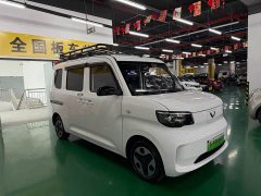 Wuling Zhiguang New Energy 305km Aspiring Edition - photo 3