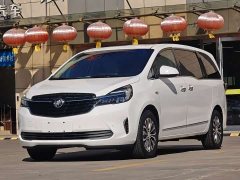 Buick GL8 Land Executive Cabin 652T Smart Luxury - фото 1