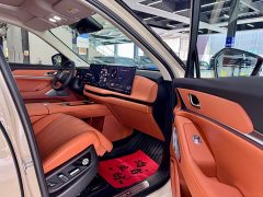 Great Wall WEY Blue Mountain Intelligent Advanced Edition Four-Wheel Drive Max - photo 4