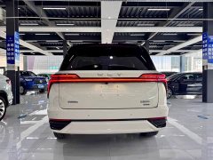 Great Wall WEY Blue Mountain Intelligent Advanced Edition Four-Wheel Drive Max - photo 5