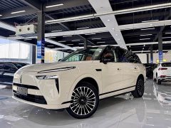 Great Wall WEY Blue Mountain Intelligent Advanced Edition Four-Wheel Drive Max - photo 9