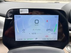 BYD Dolphin 420km Freedom Edition - ფოტო 10