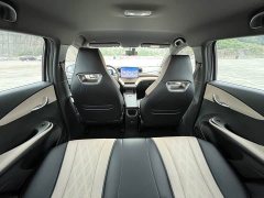BYD Dolphin 420km Freedom Edition - ფოტო 11