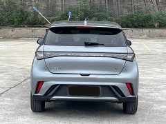 BYD Dolphin 420km Freedom Edition - ფოტო 3