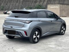 BYD Dolphin 420km Freedom Edition - ფოტო 4