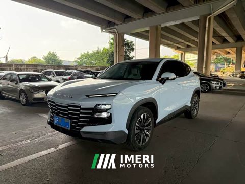 2022 Jetour Jietu Dasheng 1.6T DCT - ავტომობილი ჩინეთიდან