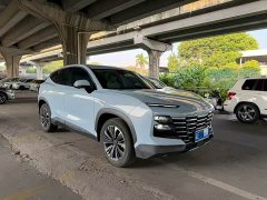 Jetour Jietu Dasheng 1.6T DCT - фото 2