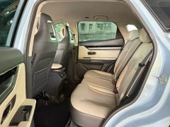 Jetour Jietu Dasheng 1.6T DCT - фото 6