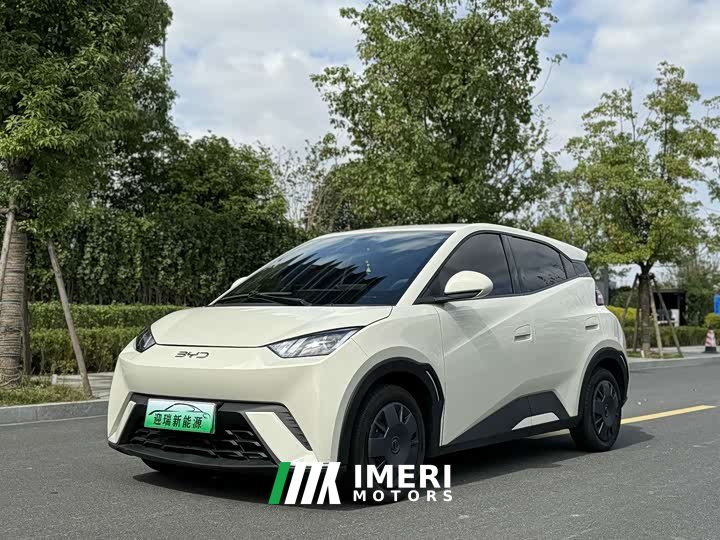 BYD Seagull 305km Vitality Edition