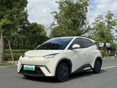 BYD Seagull 305km Vitality Edition - ფოტო 1