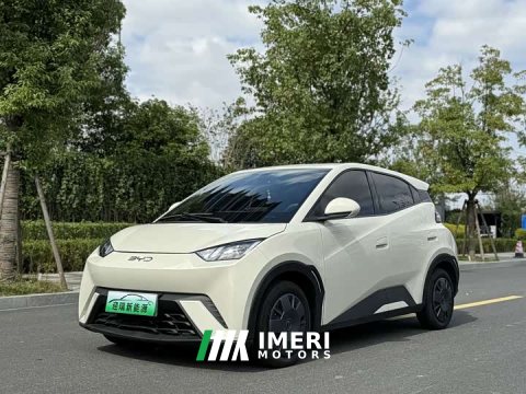 2025 BYD Seagull 305km Vitality Edition - ავტომობილი ჩინეთიდან