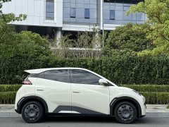 BYD Seagull 305km Vitality Edition - ფოტო 2