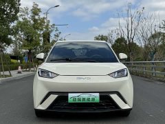 BYD Seagull 305km Vitality Edition - ფოტო 3